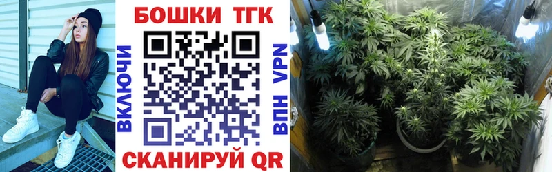 Конопля THC 21%  мега зеркало  Чудово 